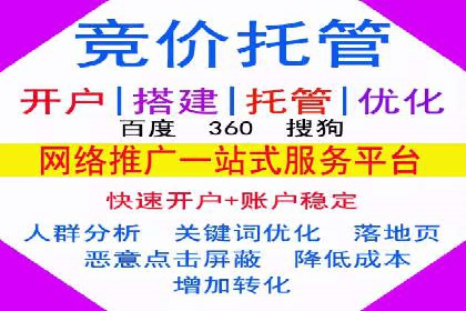 SEM推广案例：提升网站转化率策略解析